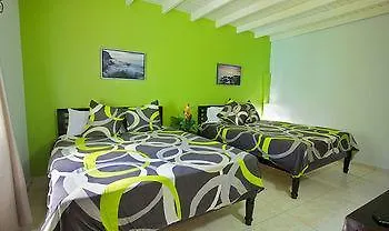 The Paradise Inn Little Bay 3*,  سان مارتن